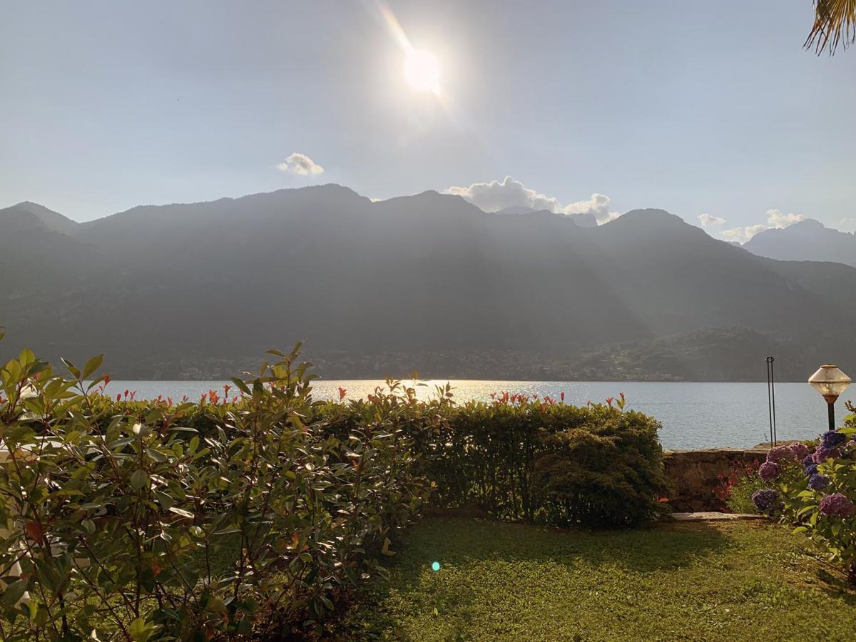 Terrace On The Lake Διαμέρισμα Oliveto Lario Εξωτερικό φωτογραφία