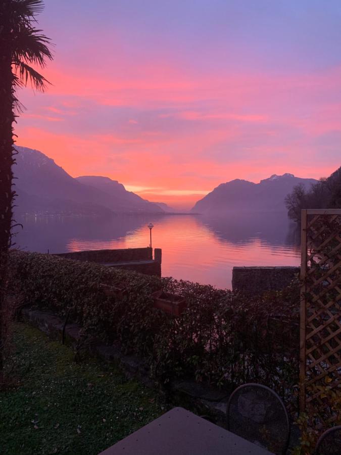 Terrace On The Lake Διαμέρισμα Oliveto Lario Εξωτερικό φωτογραφία